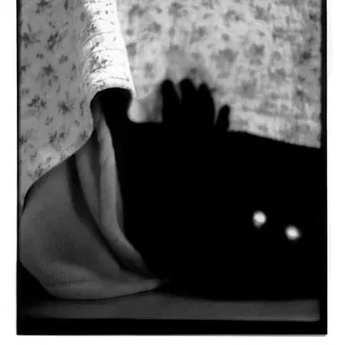 Profile image of 괴물