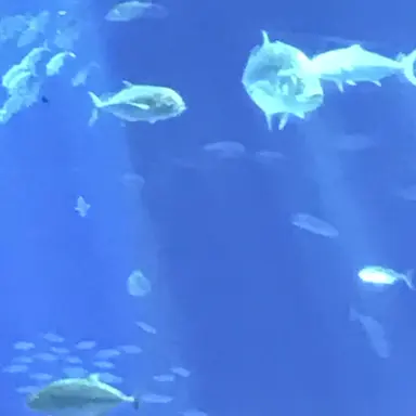 Profile image of 親友