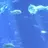 親友