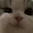 평학