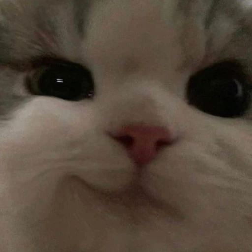 평학