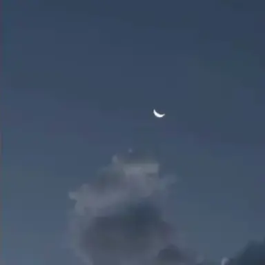 Profile image of 空