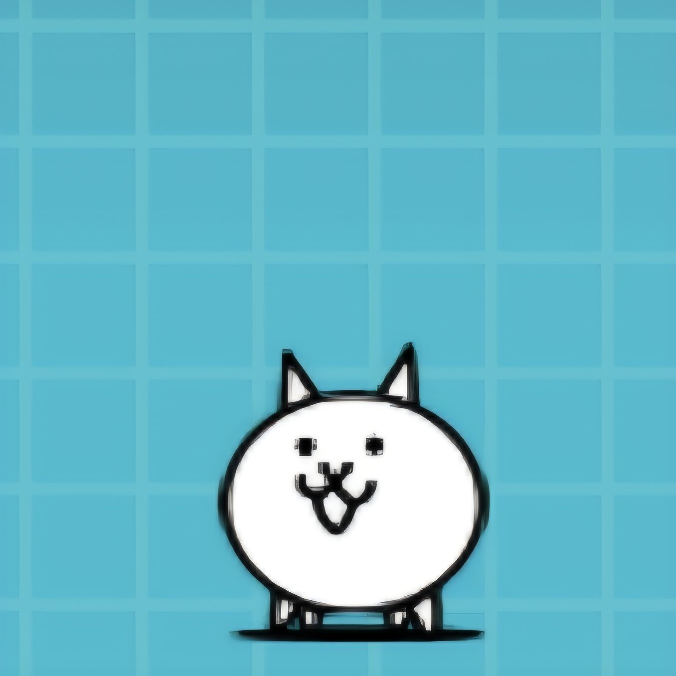 고양이 대표 이미지