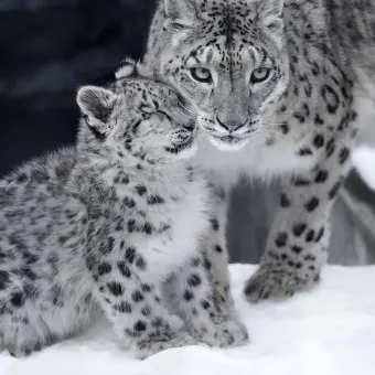 Profile image of 설표