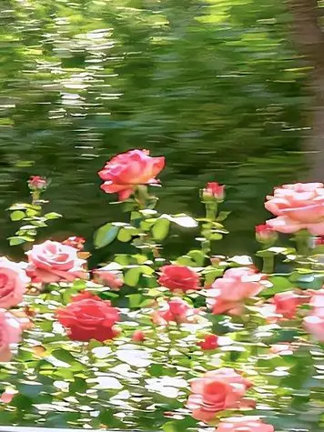 0452_의 嫌い···.