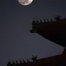 Profile image of 이홍위