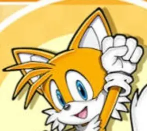 Profile image of チームソニック