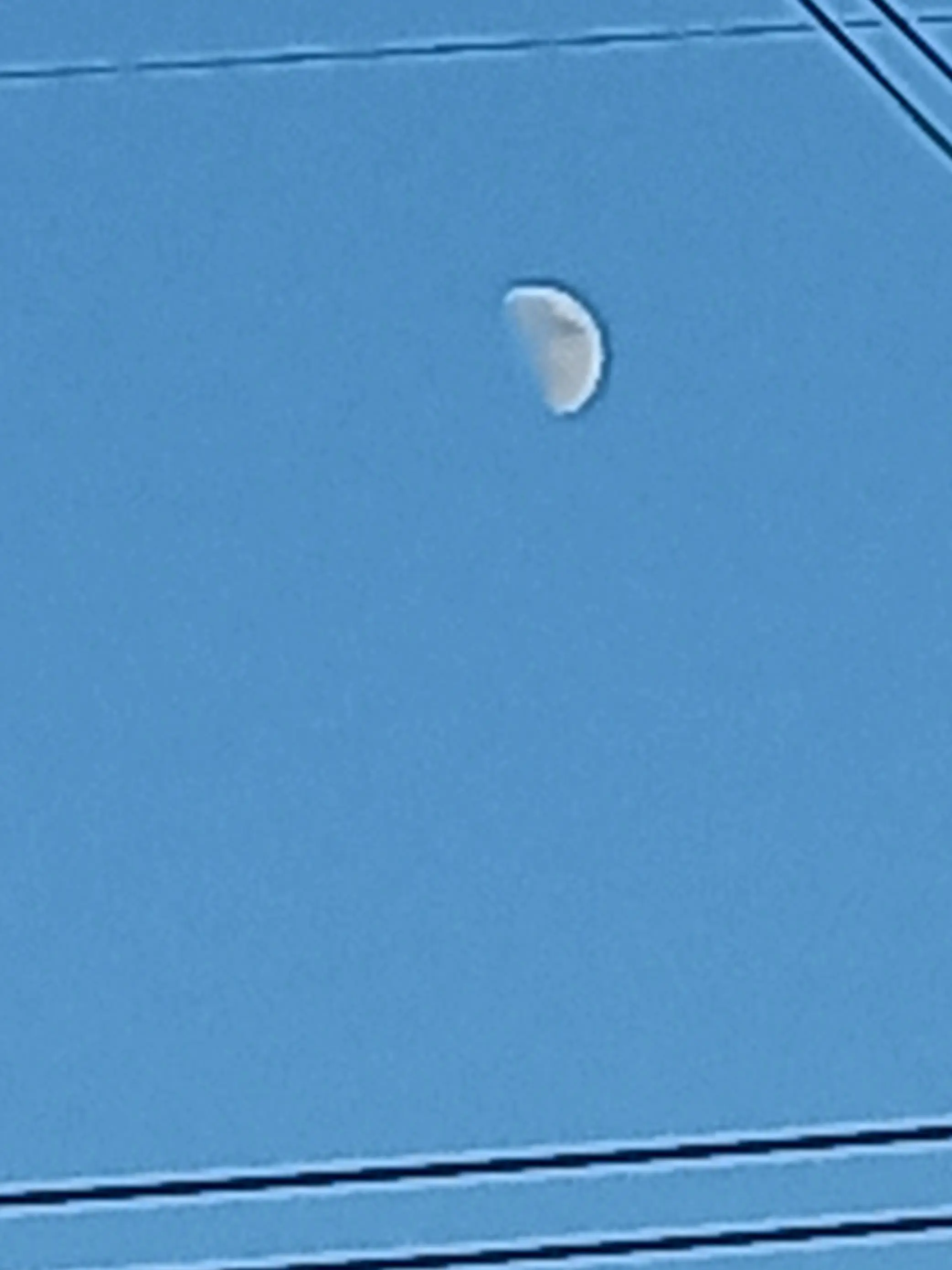 ALIENENTP의 픽설리(6남매) 육아하기??!!