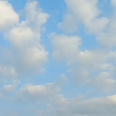 Profile image of 잠뜰