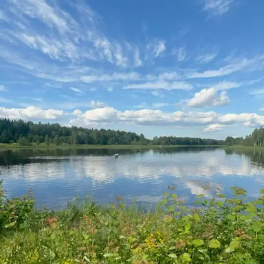 Profile image of 김애리