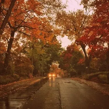 Profile image of 닝이줘