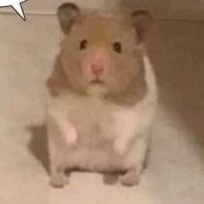 나이현