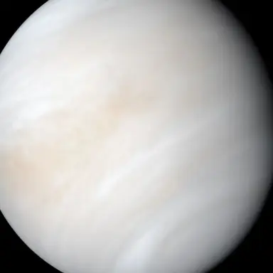 Profile image of 금성