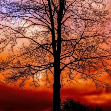 Profile image of 마플