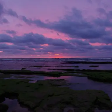 Profile image of 유성