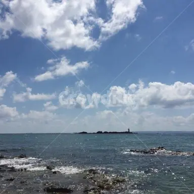 Profile image of 파크모