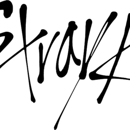 Profile image of Stray Kids