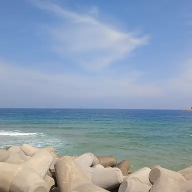Profile image of 여우