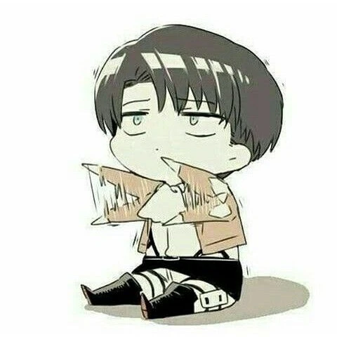 리바이