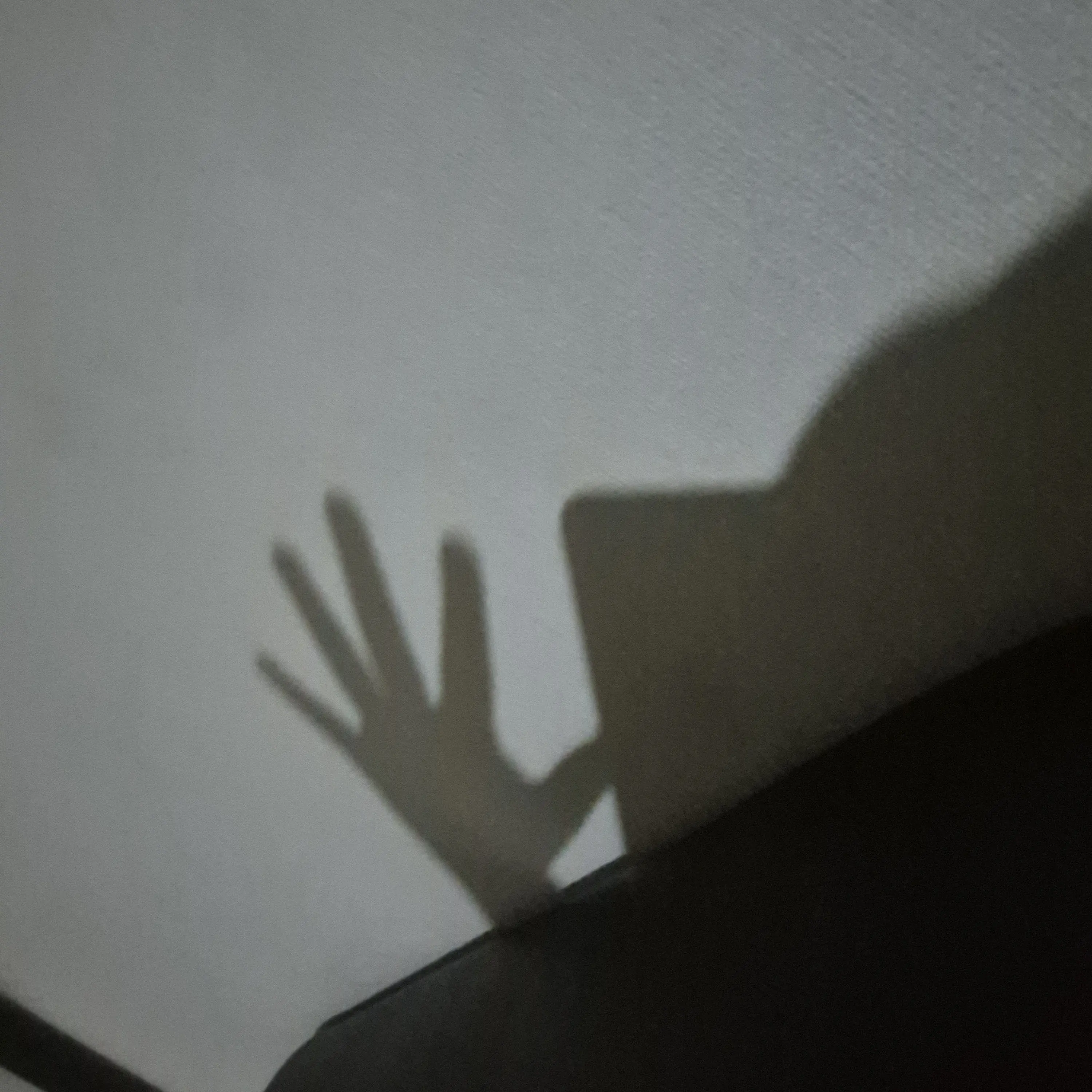 MightyRobin1144의 김동현