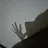 김동현