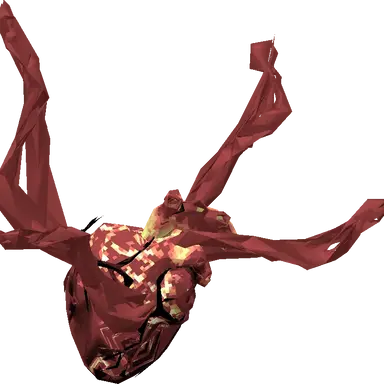 Profile image of 심장