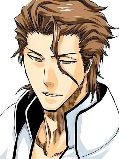 SevereBike1675의 幼少期の藍染惣右介