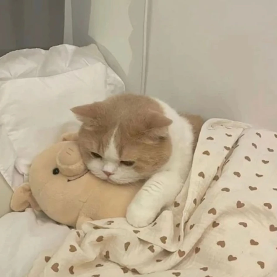 윤기