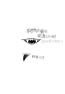 Profile image of ひつじ