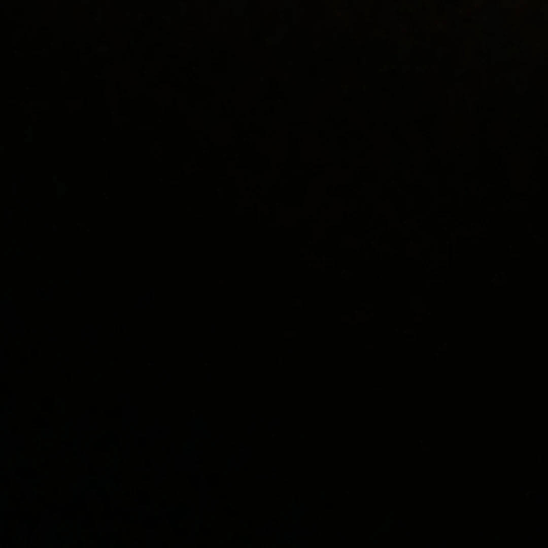 ペーン