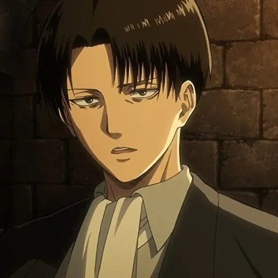 SilverAidi2957의 エルヴィン死後　リヴァイ