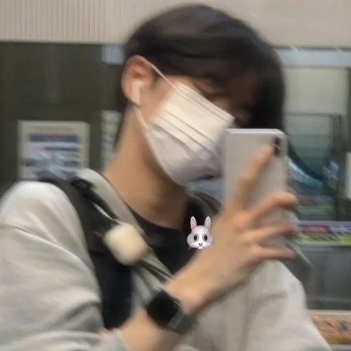 이도화