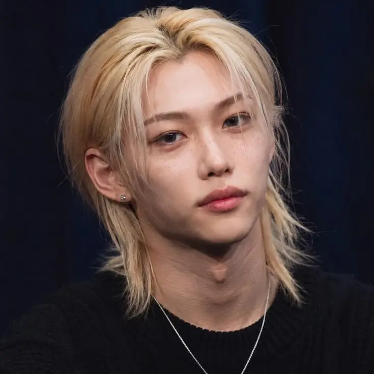 imirritatedasf의 01 lee felix