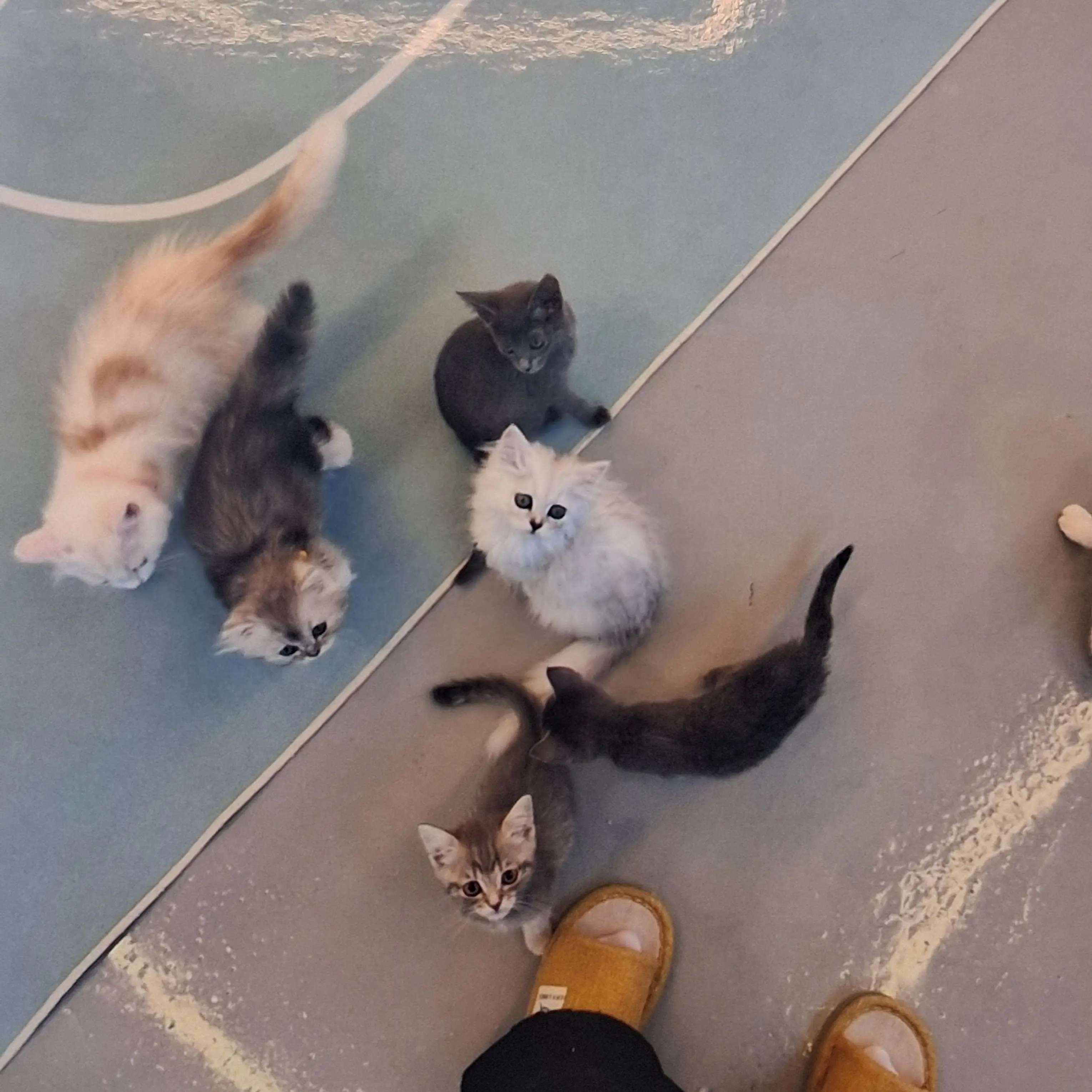 SweetAngel4401의 여우년과 존잘들