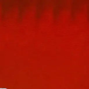 Profile image of 種田 理
