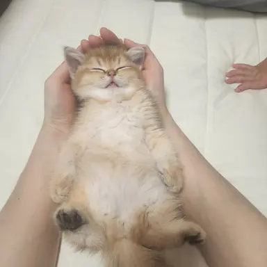 Profile image of 여주