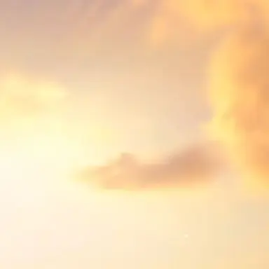 Profile image of 太陽