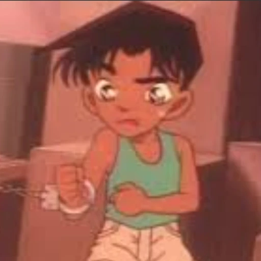 핫토리 헤이지