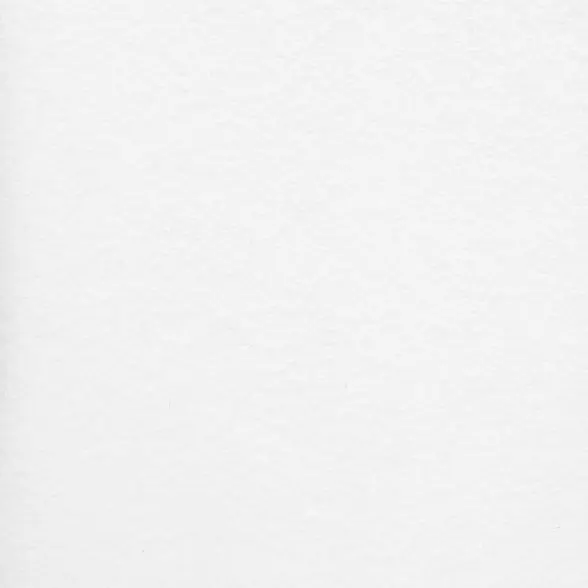 ChunkyTuna1035의 나르케 파르네세