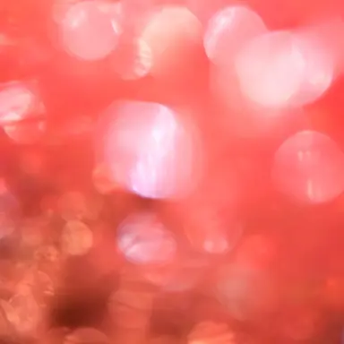 Profile image of 大森 元貴