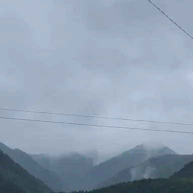 Profile image of 비서