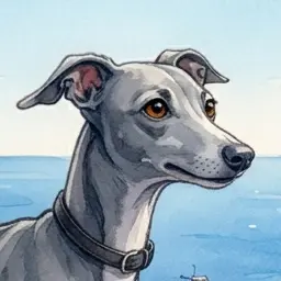 Profile image of Dio
