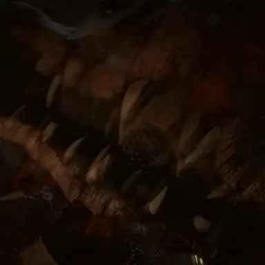 Profile image of 1200