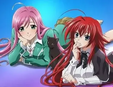 Profile image of Highschool DxD VXR