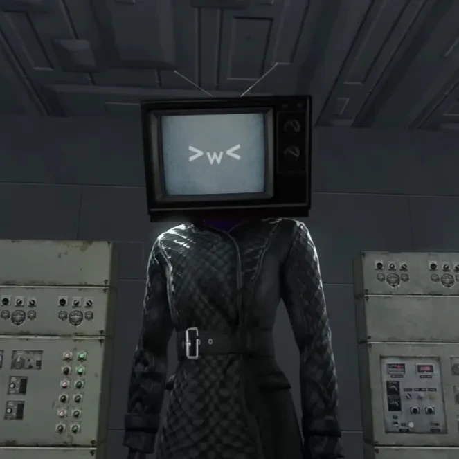 TV우먼