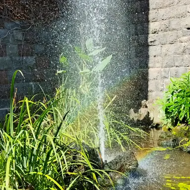 Profile image of 라디오 버클