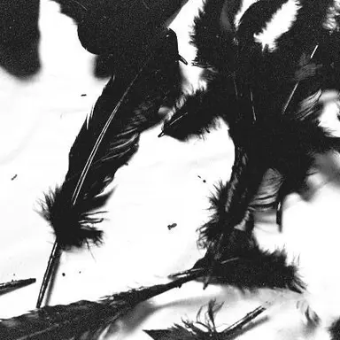 Profile image of 케니