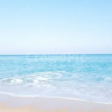 Profile image of 잠뜰