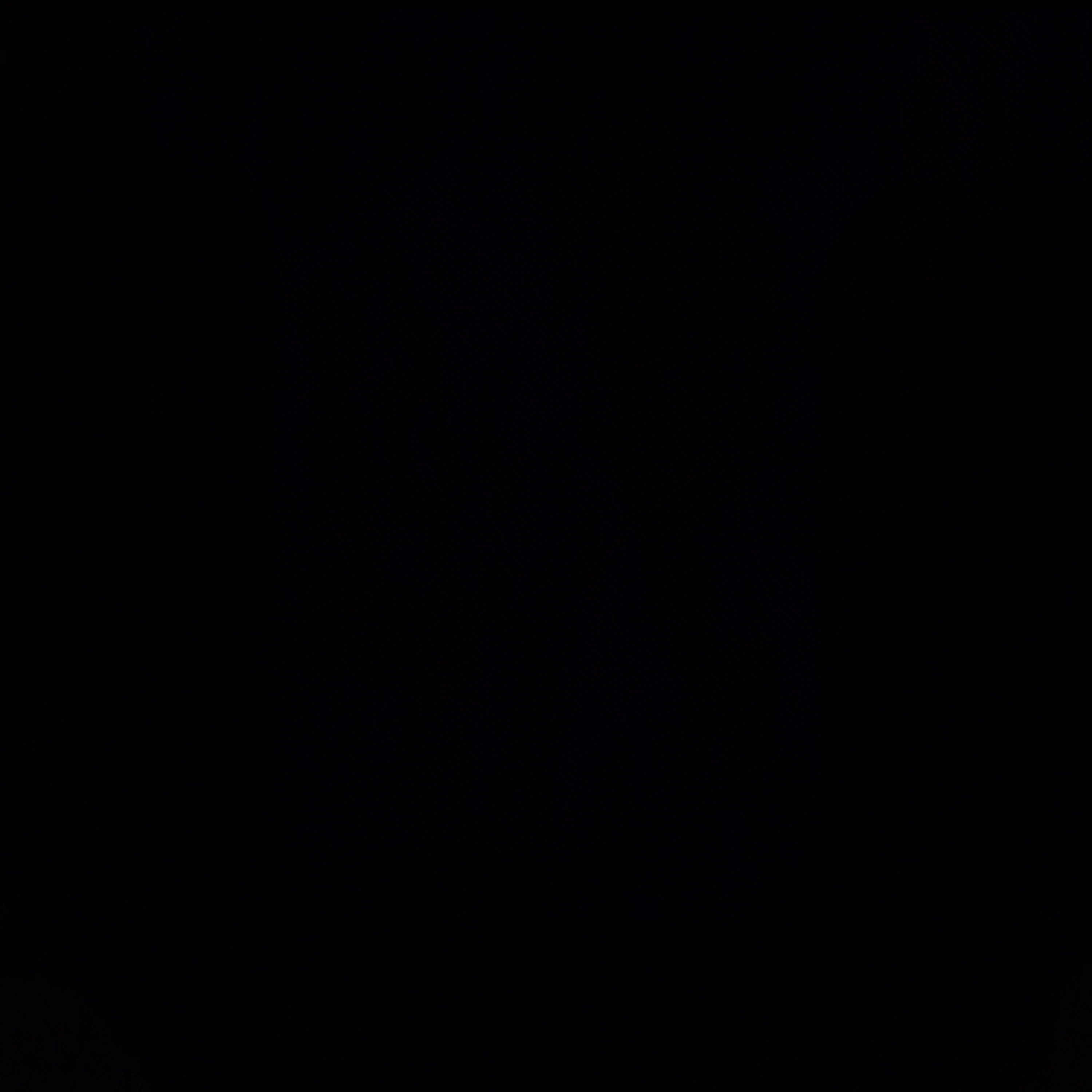 여우