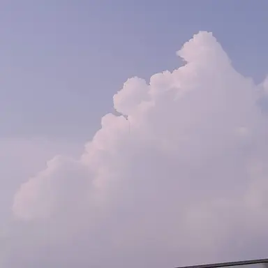 Profile image of 知天命